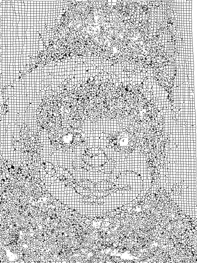 Cobweb.png