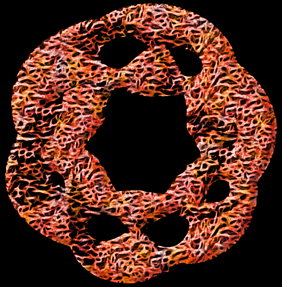 coralin.jpg