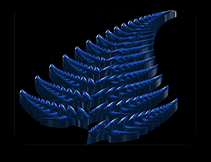 BRL-Fern-3Dex-sm.jpg
