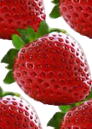 packed_straw.png