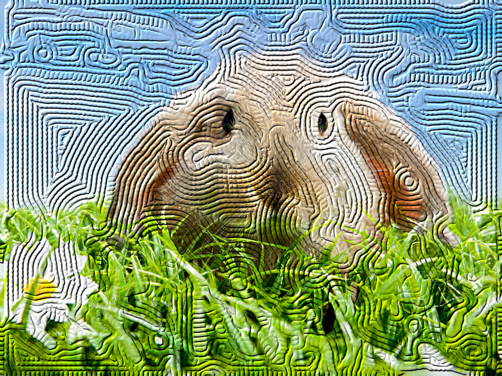 rabit-cords.jpg