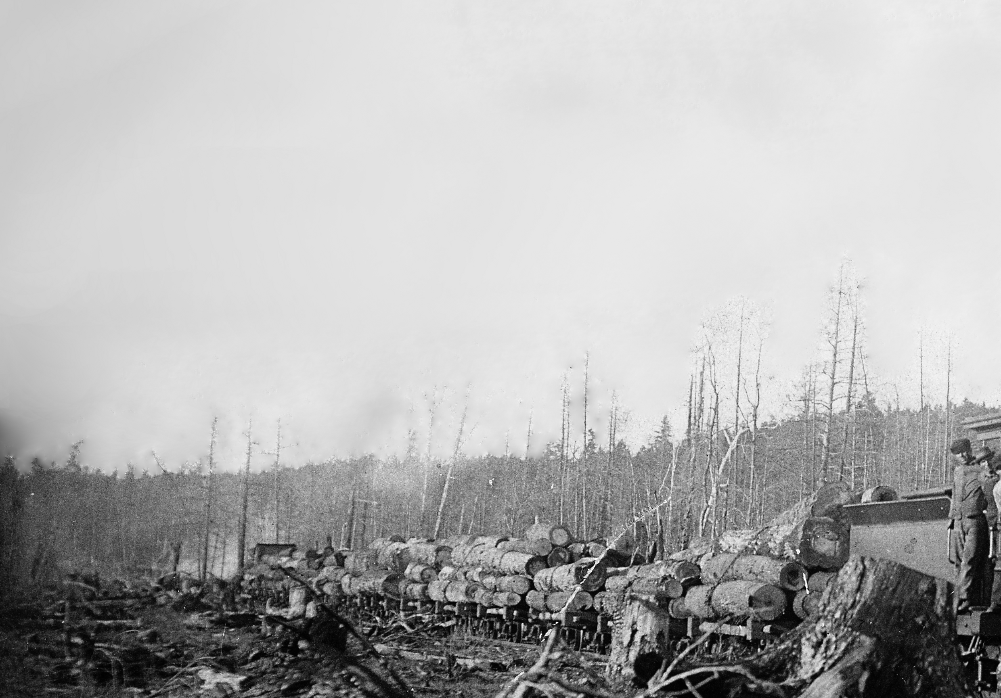 log train 3.png