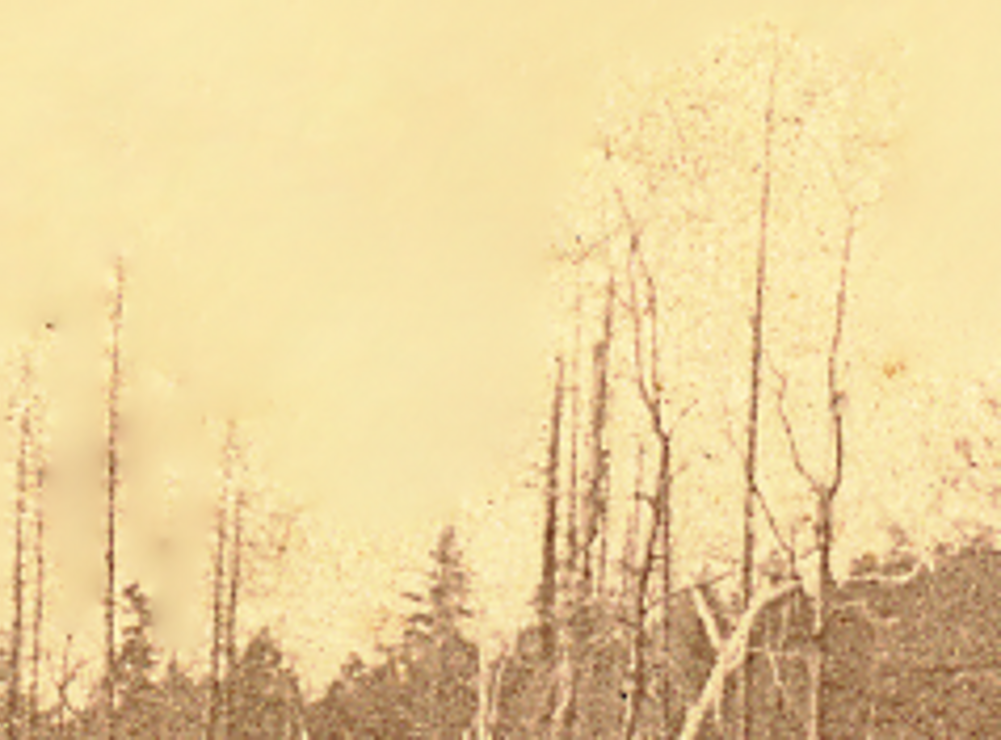 log train 4.png