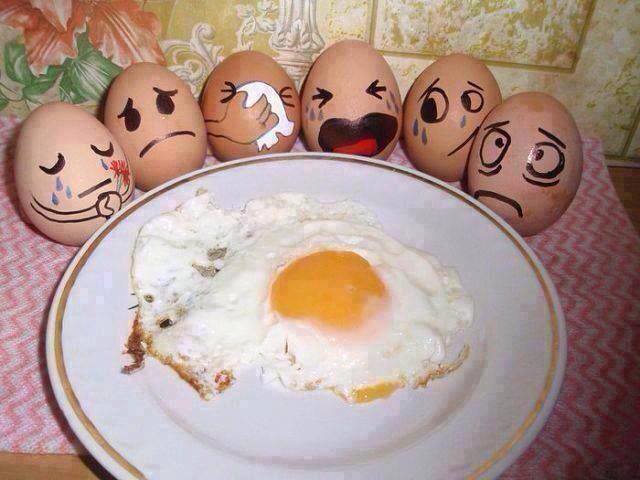 EGGS.JPG