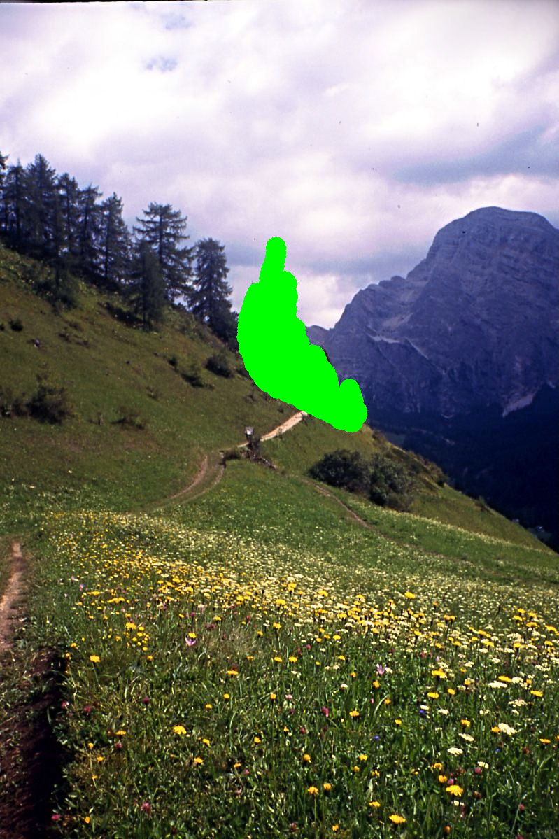 inp-new.jpg