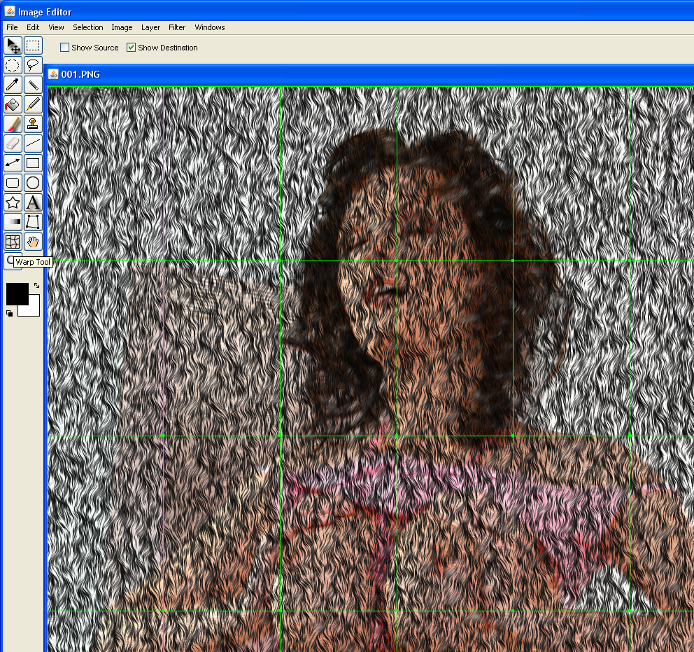 1 - Image Editor-Image Editor-Warp Tool 1.png