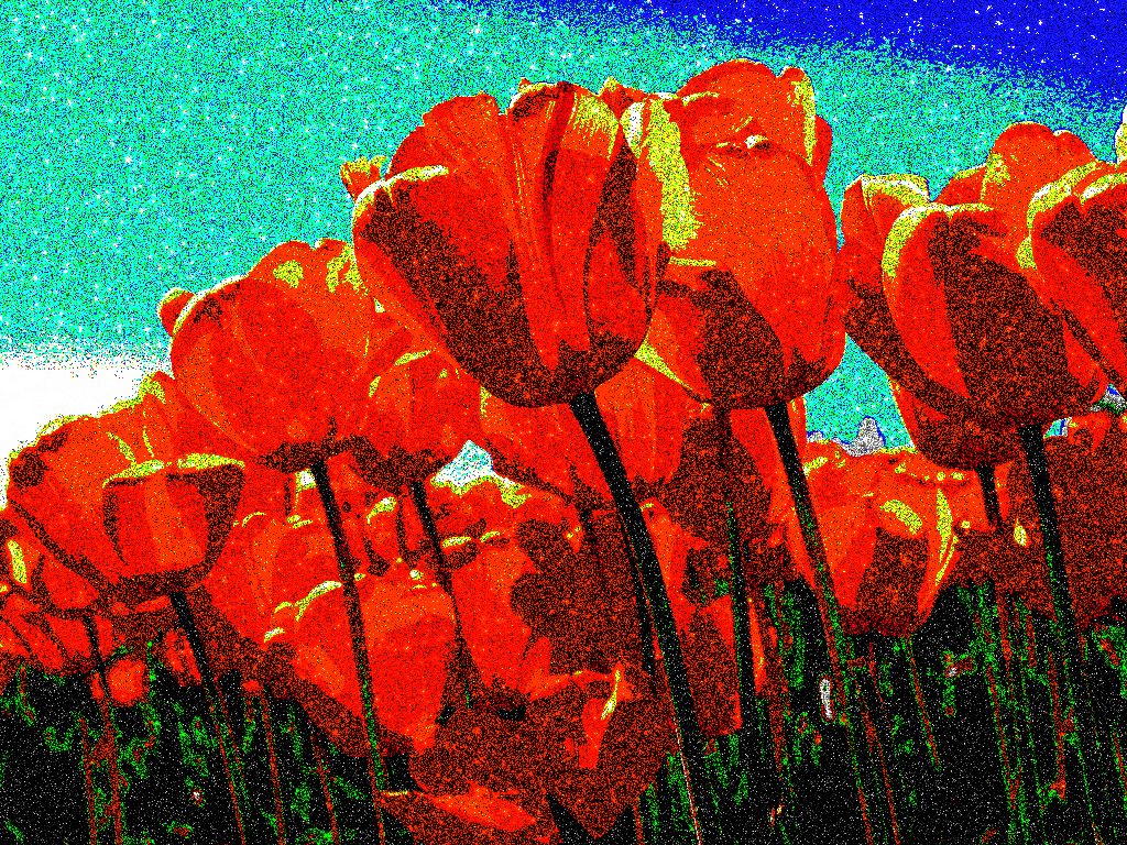 2144_Glitter Tulips-DN.jpg