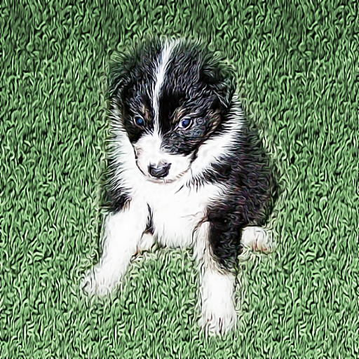 Rebecca S. pup1a.png