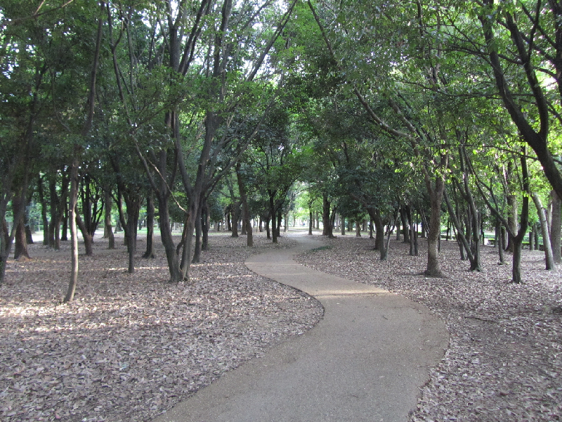 Paisajeurbano-original.jpg
