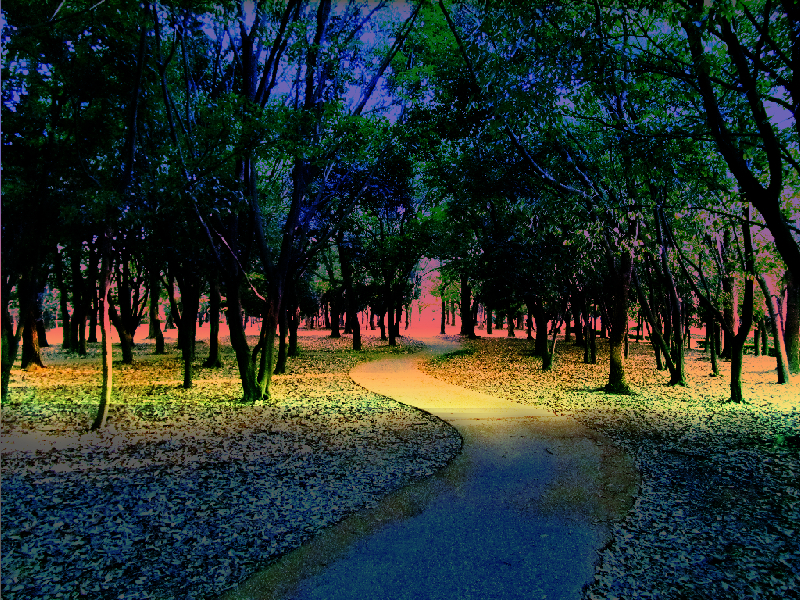 Paisajeurbano-MaxRGB-gradDN.jpg