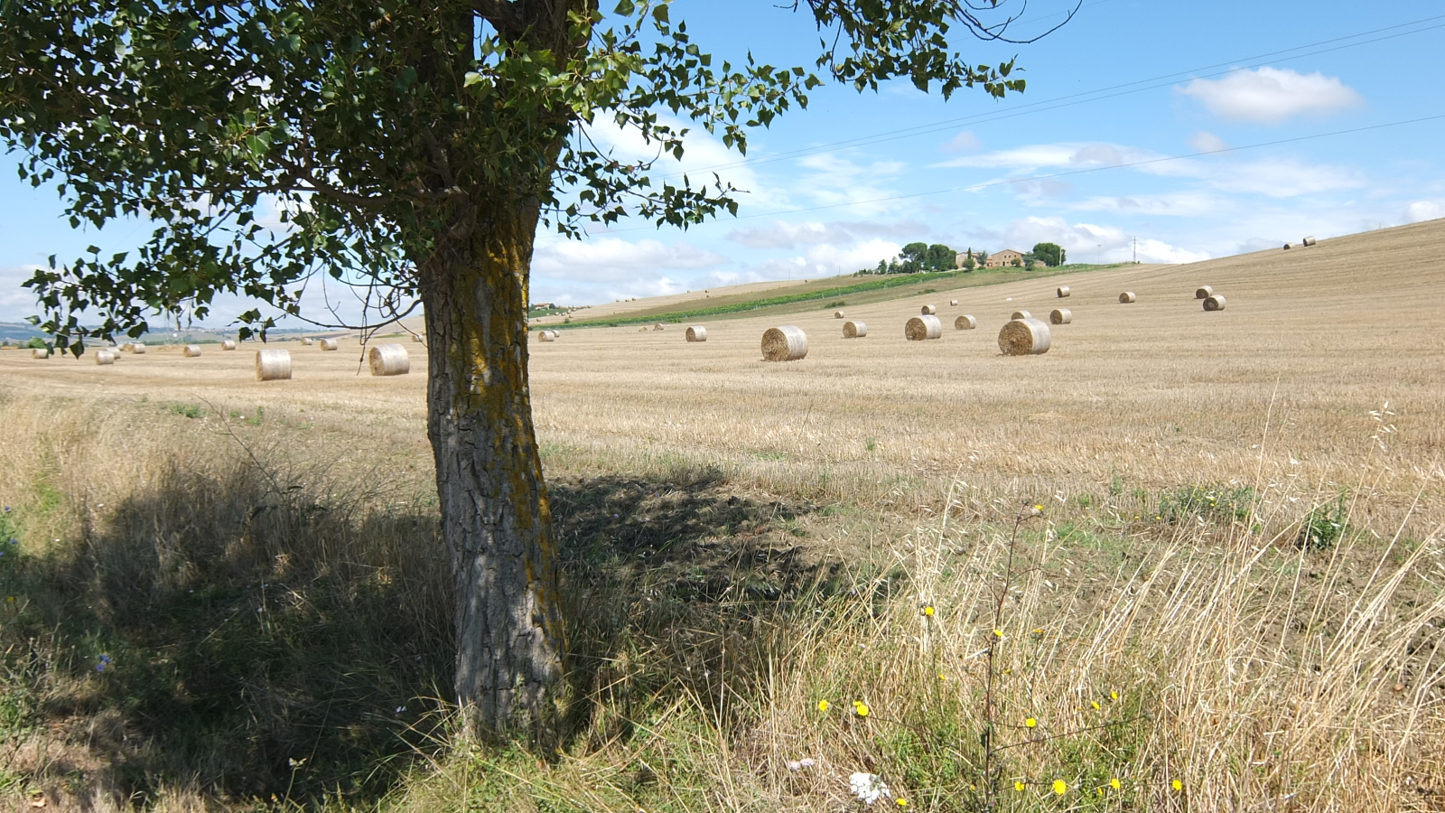 DSCF0869.png