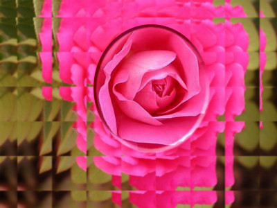 fucsia rose-glass tile.jpg