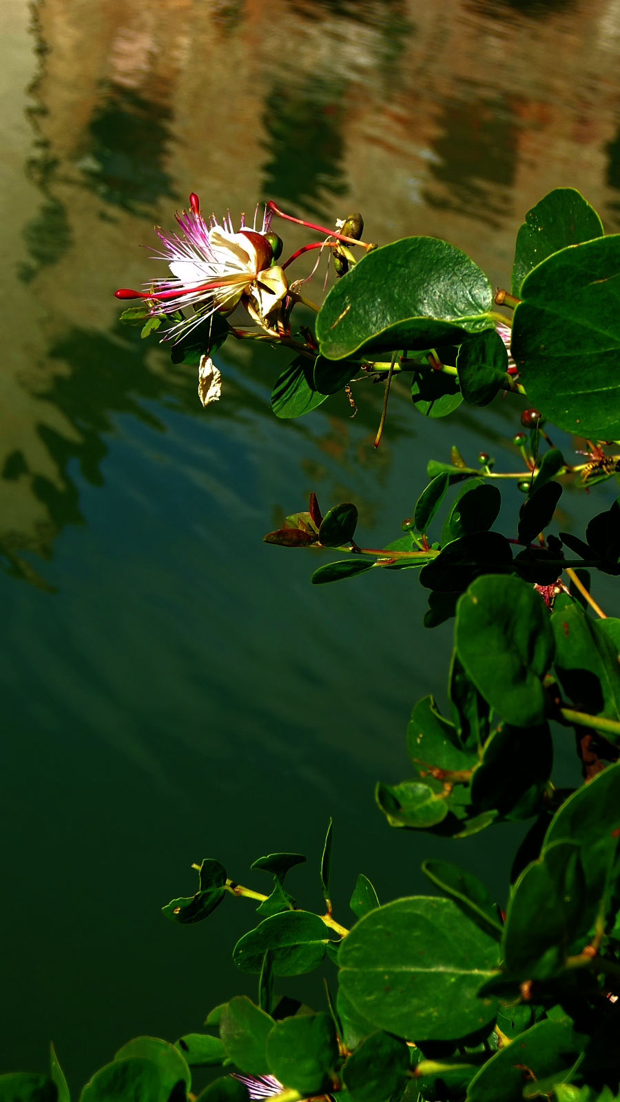 DSCF0847-enh2.png
