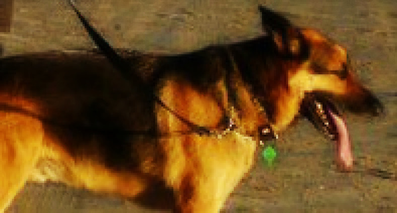1831_zac2-dn.jpg