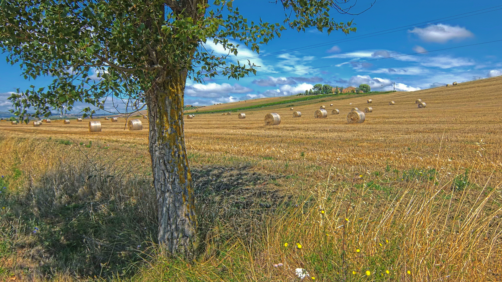 DSCF0869.jpg