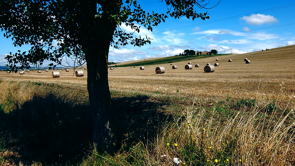 DSCF0869-blu-di-prussia-res.png