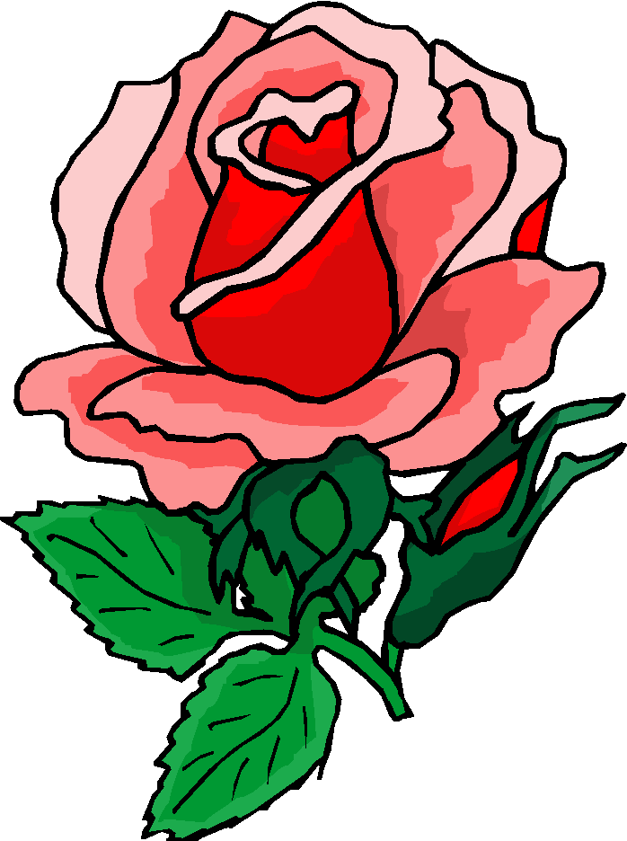 just-a-rose.png