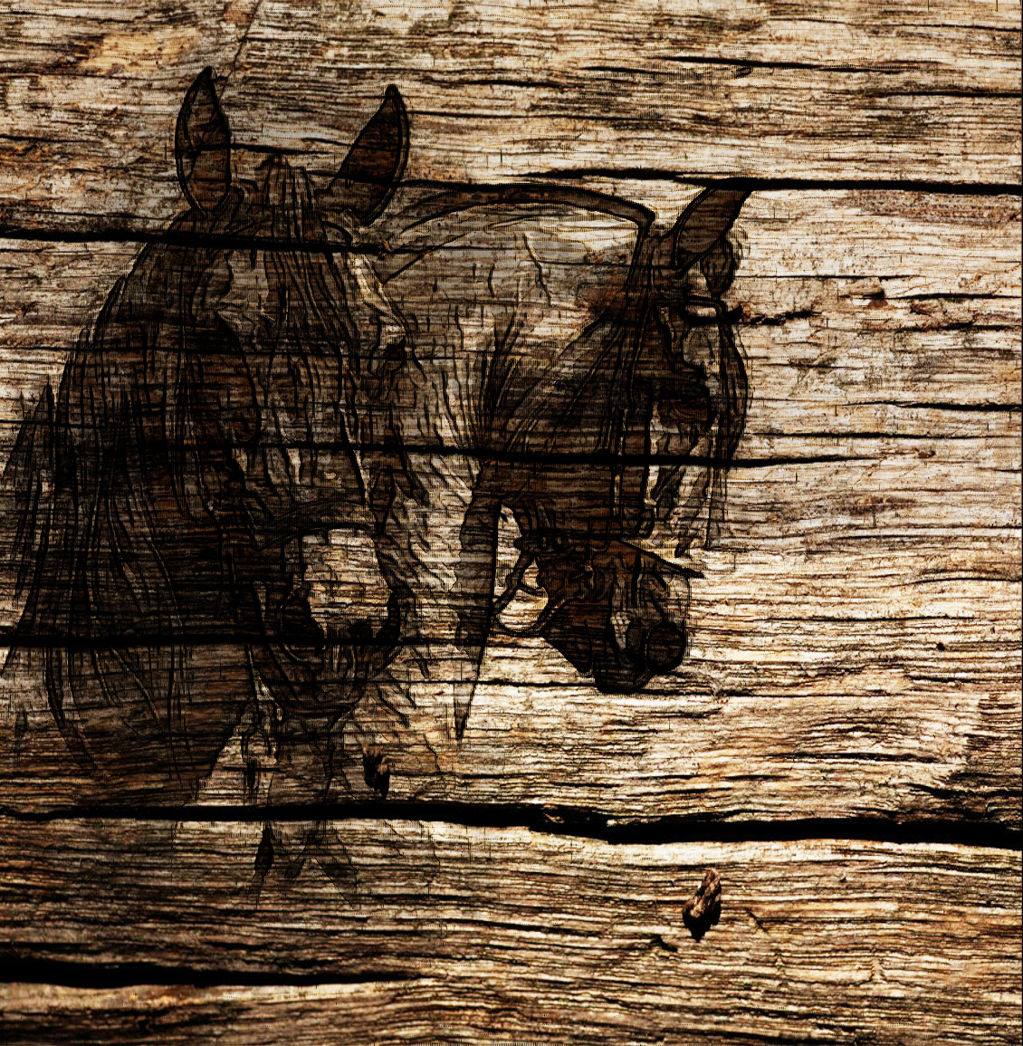 pinturas-de-carboncillos-wood 3.jpg