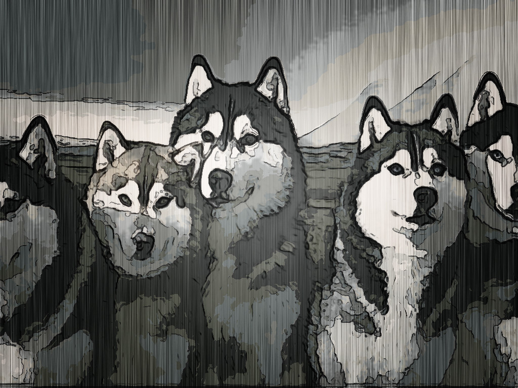 pack-of-siberian-huskies-metal silver 3.jpg