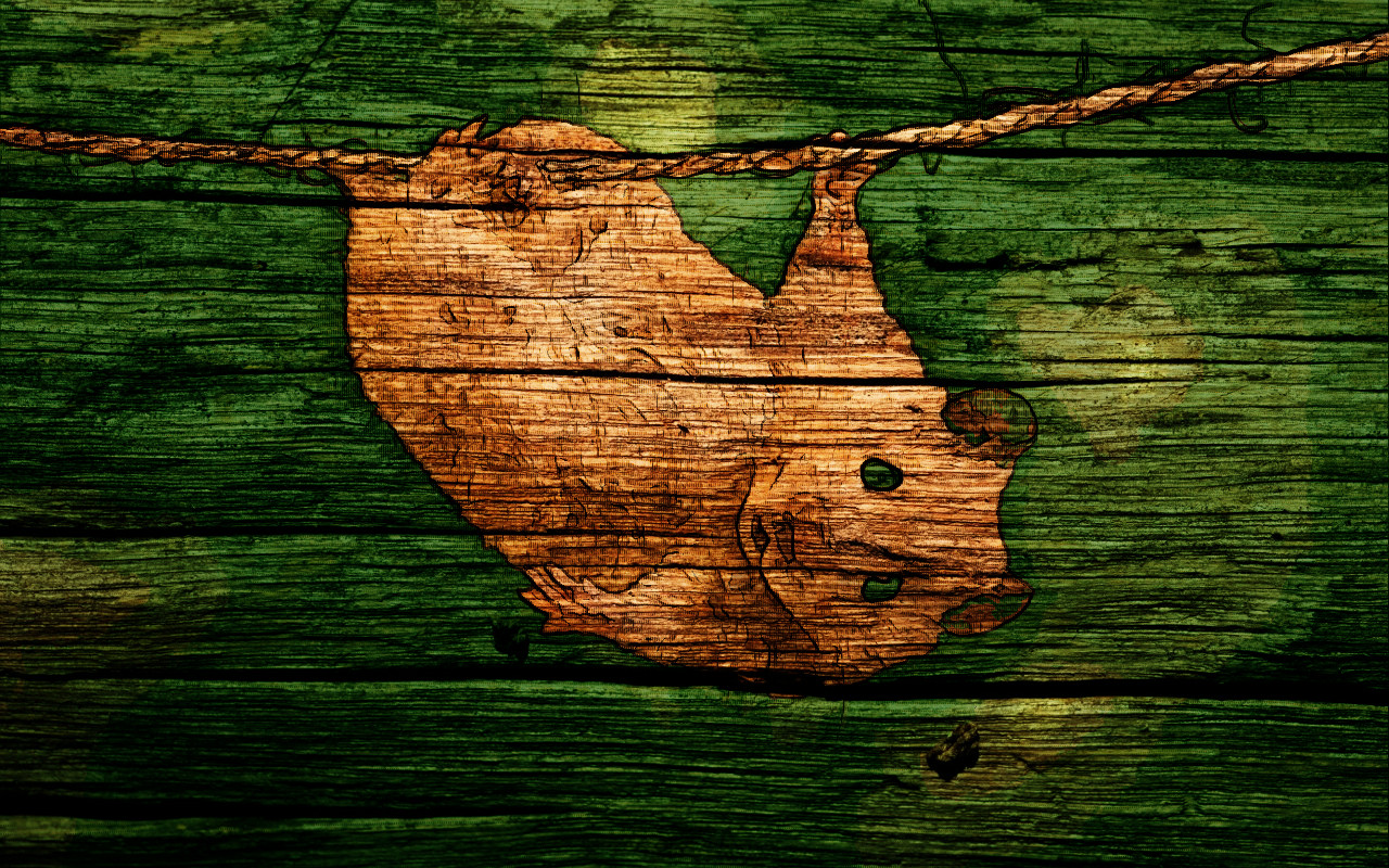 pet-hamster-wood3.jpg