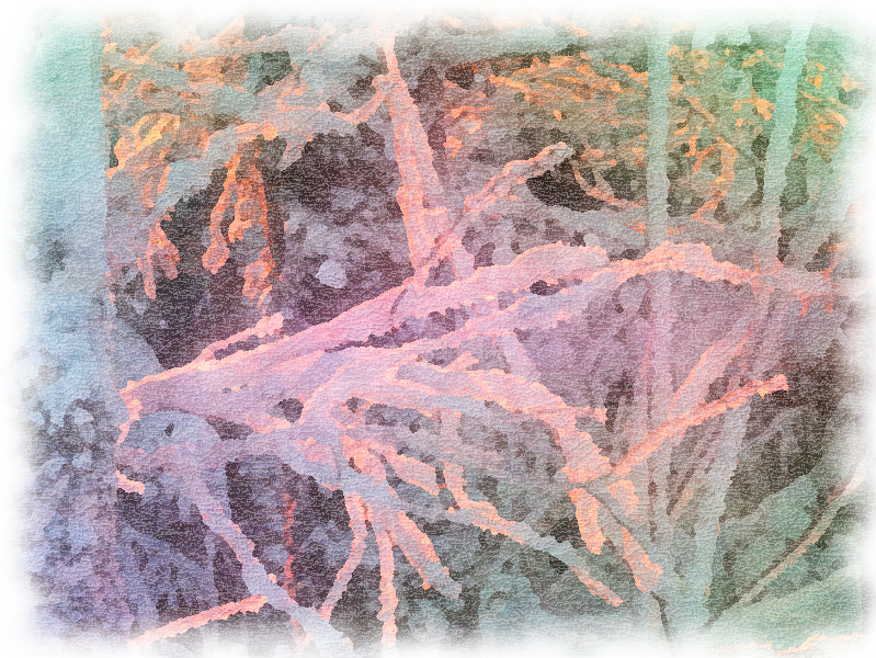 3392_Juhuu.nyt se.alkaa_Aquarel.jpg
