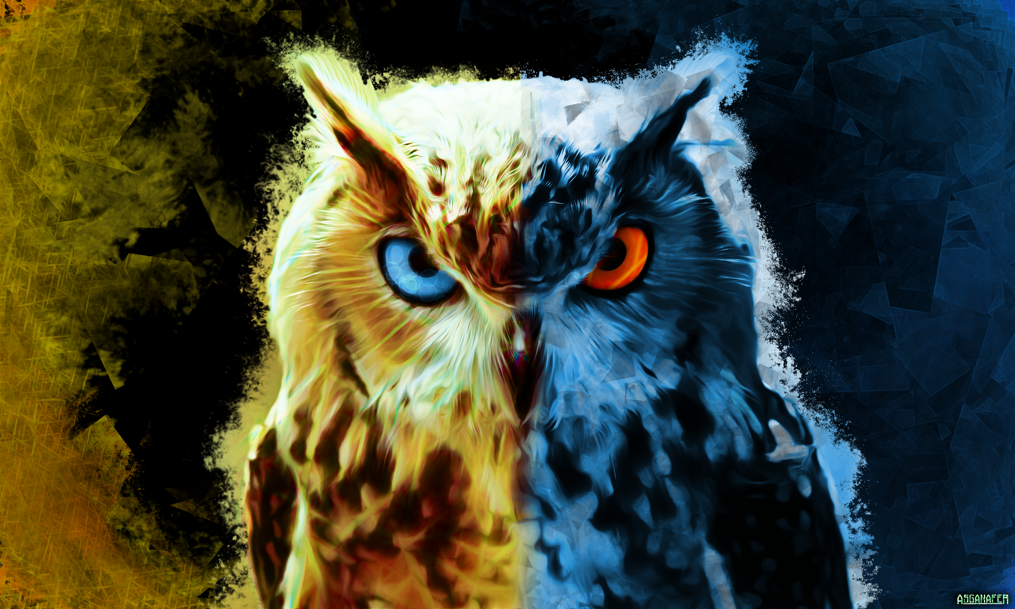 owl2.png