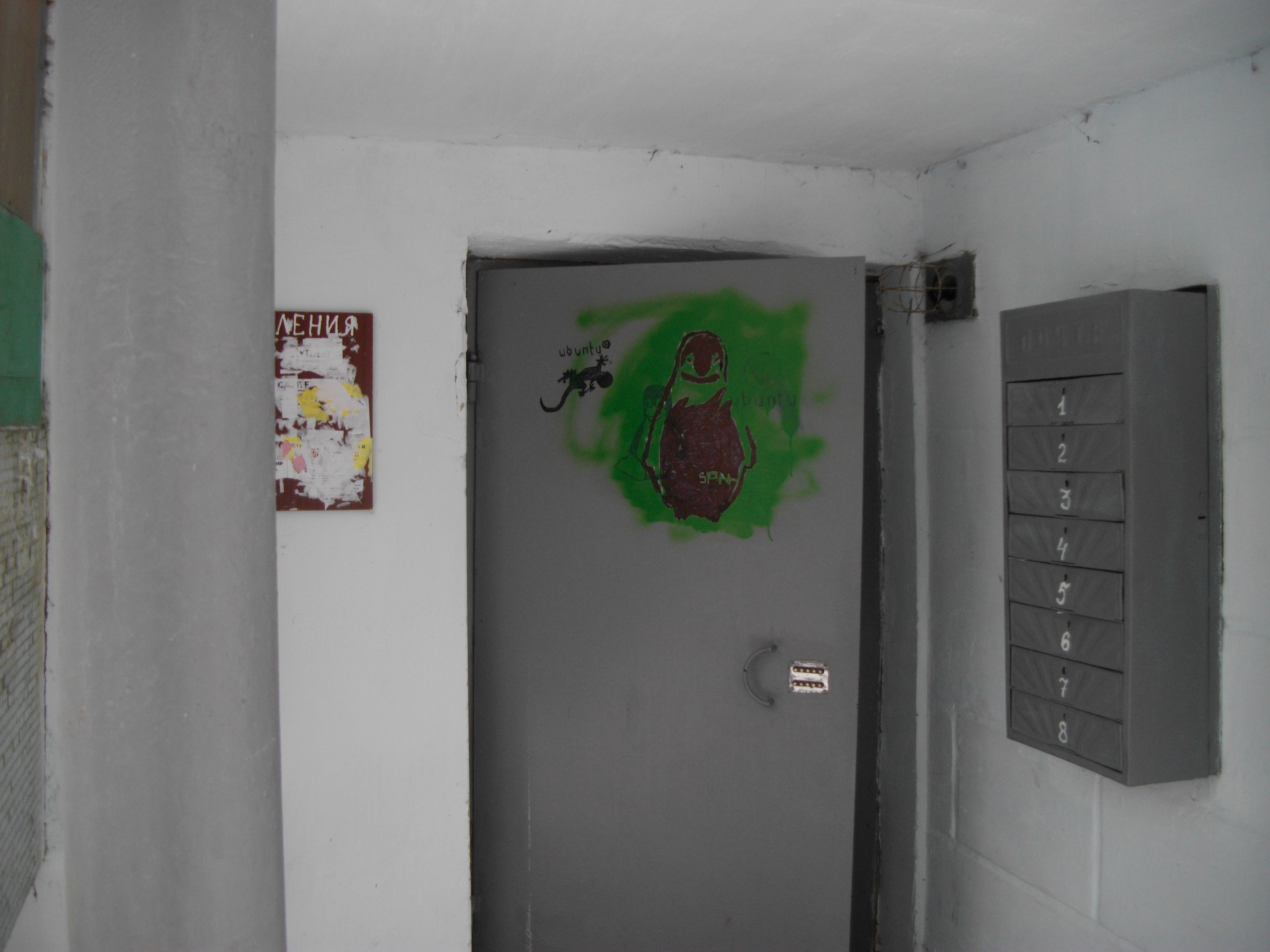 IMGP4517.JPG