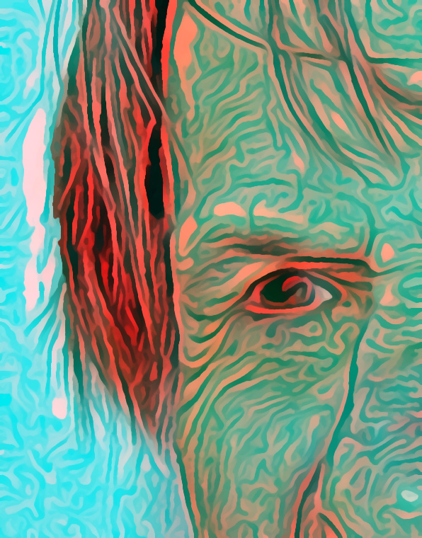 result.jpg