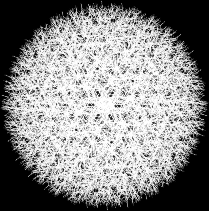 dandelion.png