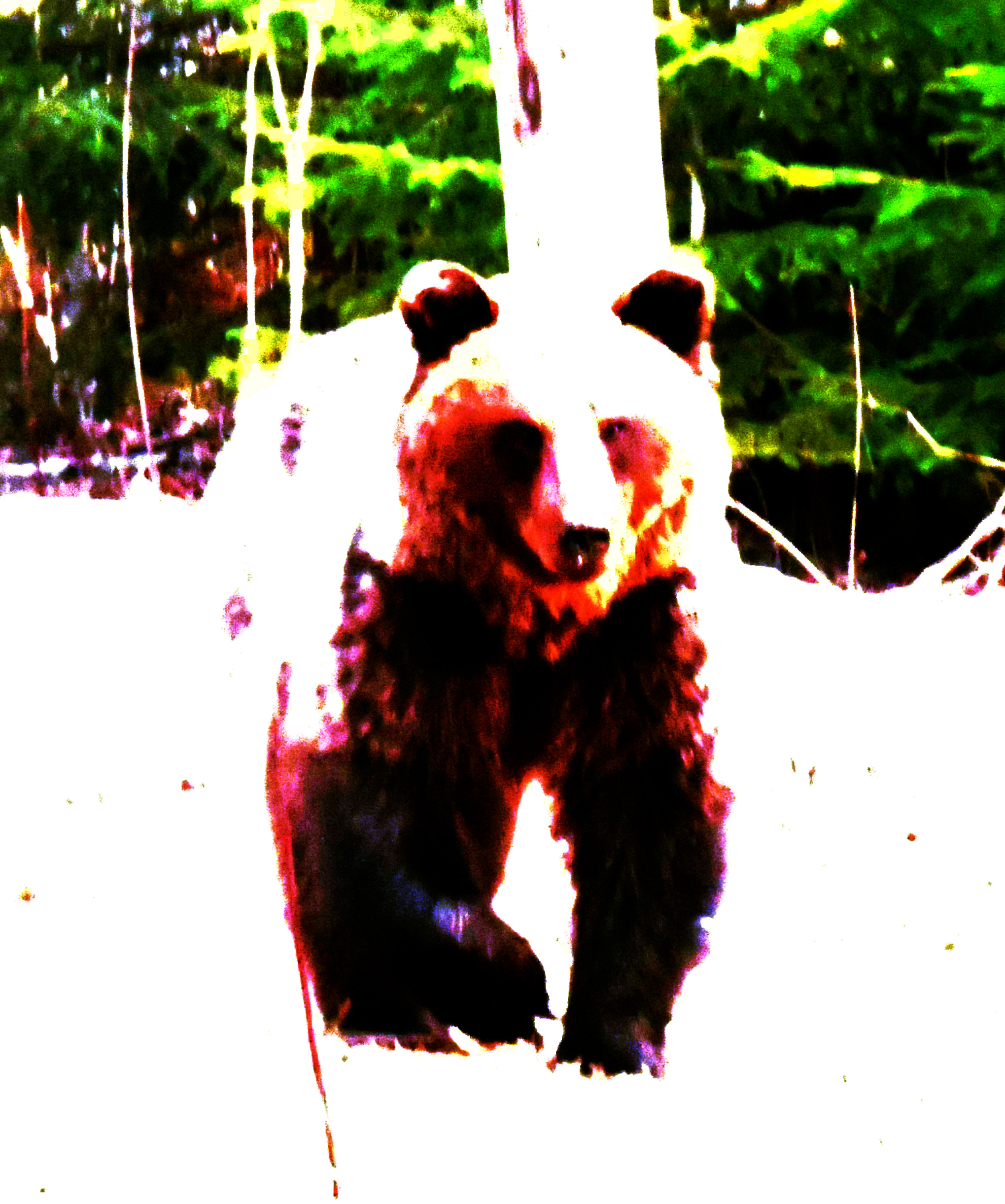 3392_karhu2_cr-DN.jpg