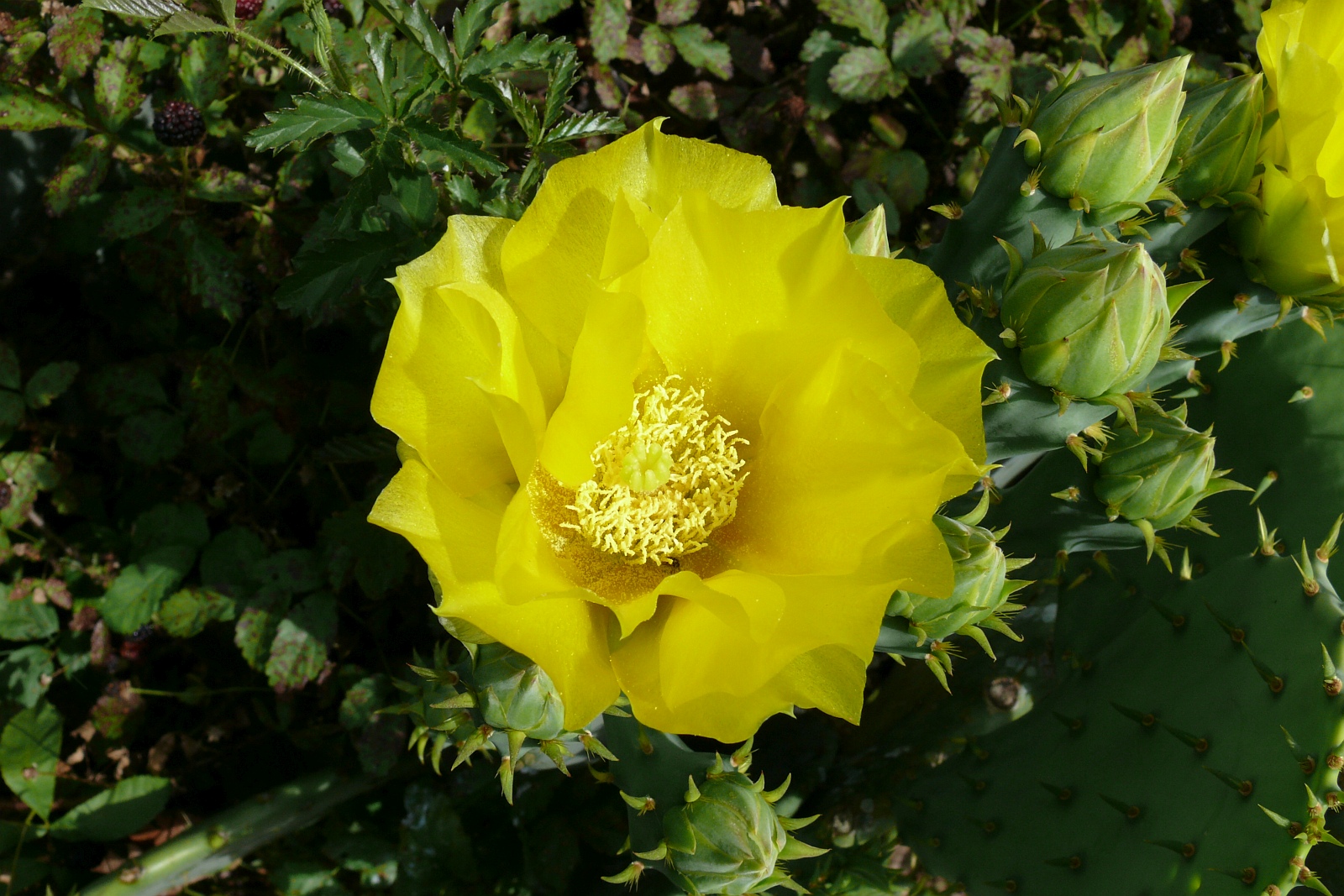 L1000158.JPG