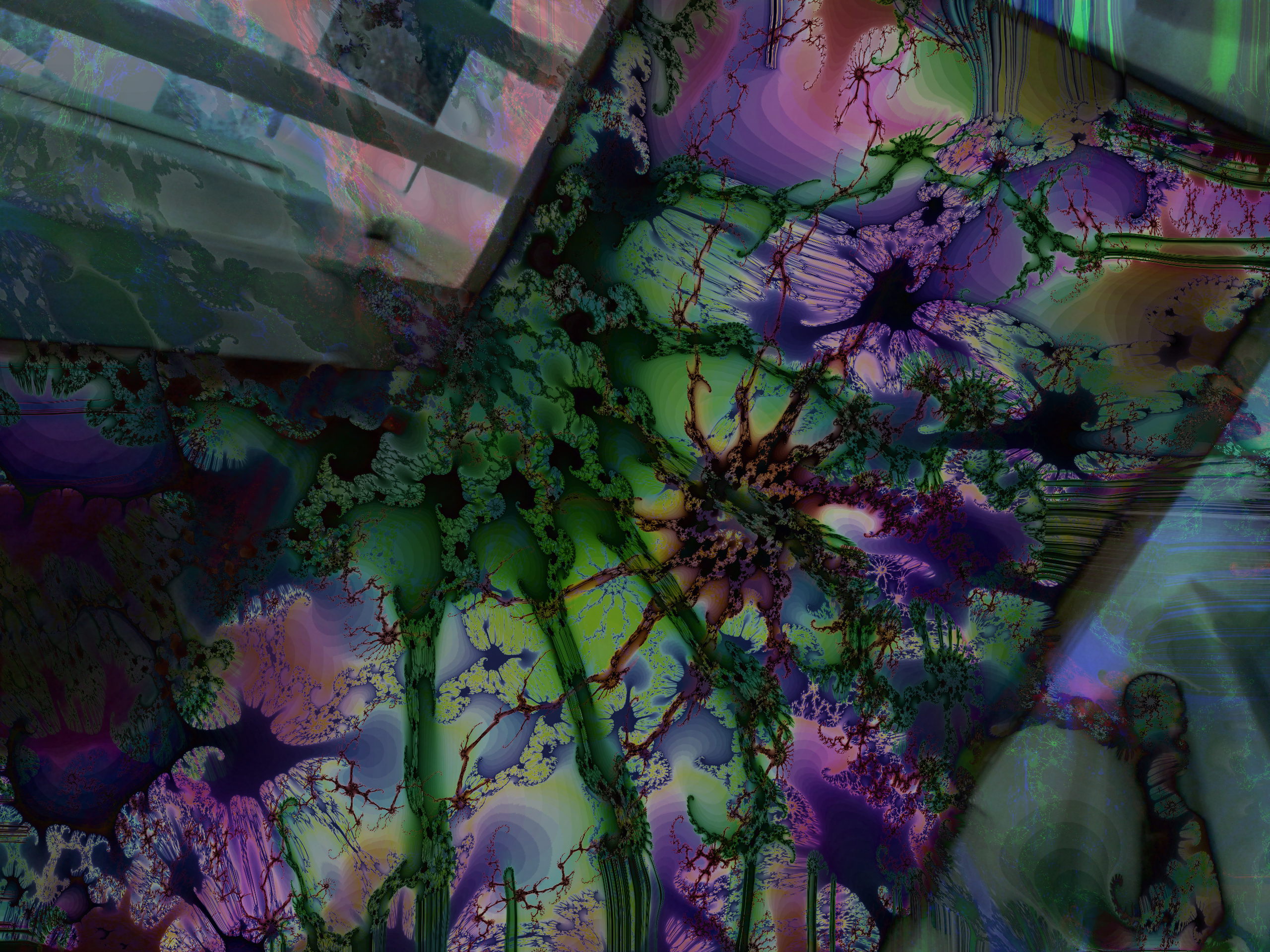 1831_2015-05-12 18.02.50_DN1.jpg