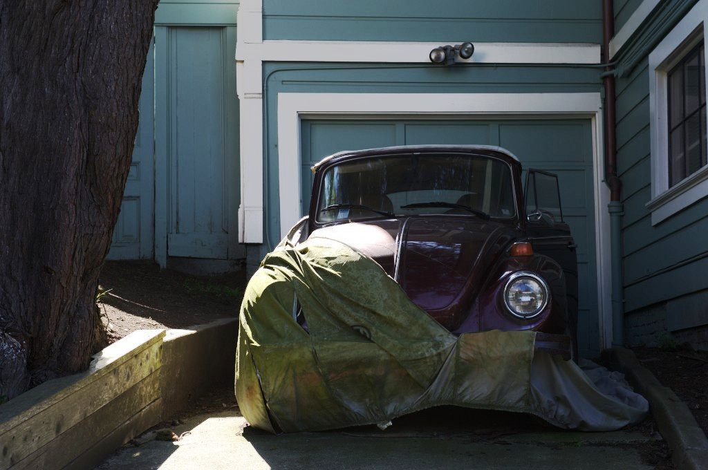 beetle_03-1024x680.jpg