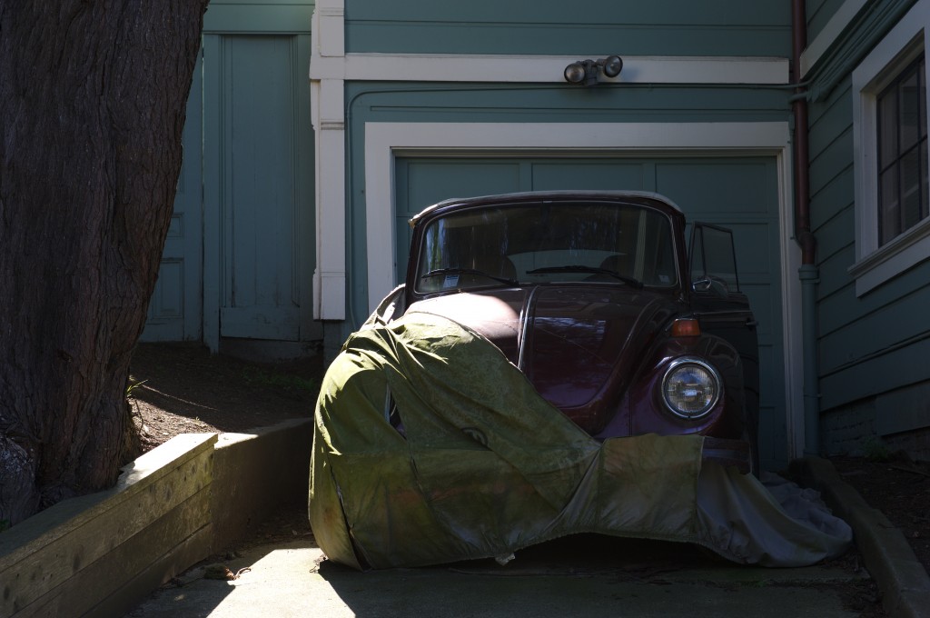beetle_wallace-1024x680.jpg