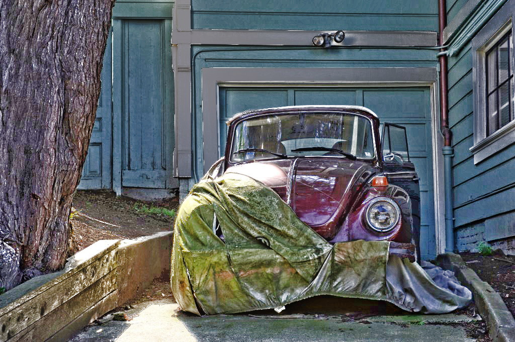 beetle_01-1024x680.jpg