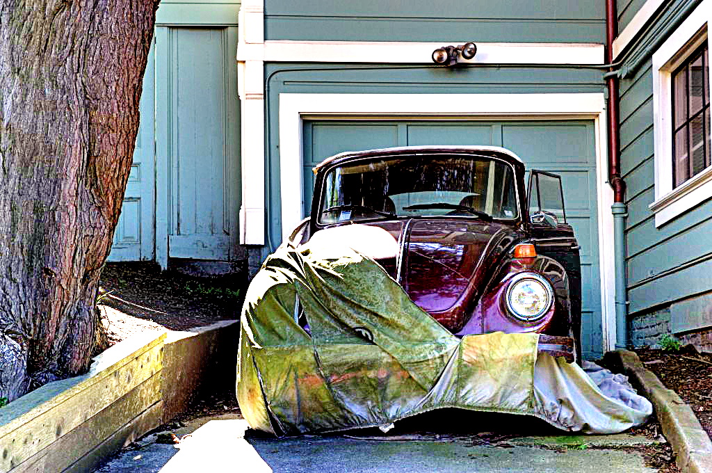 beetle_01-1024x680.jpg