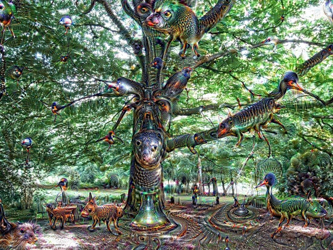 dream_2c7f244306-Tree.jpg