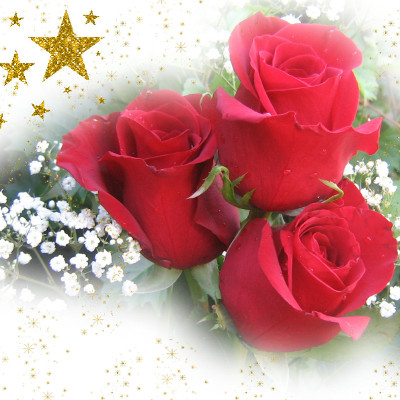 3roses-400.jpg