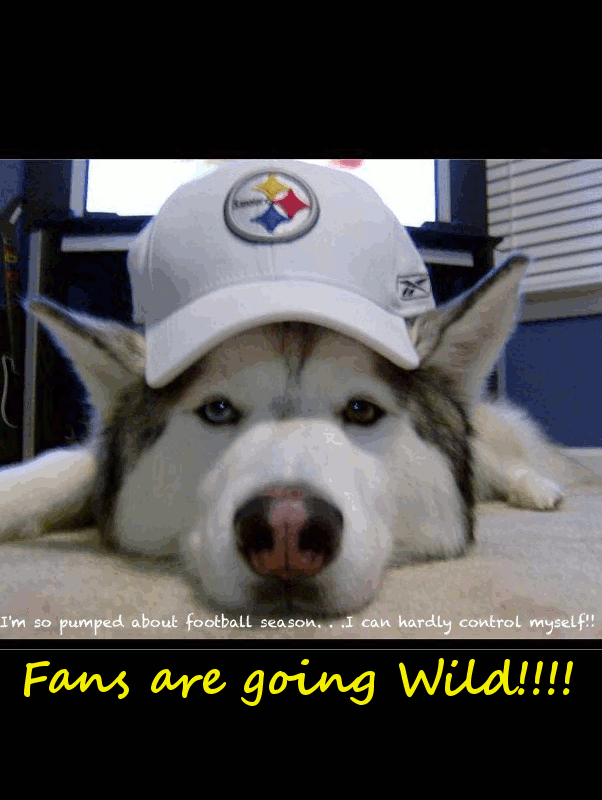 NFL Fever1.gif