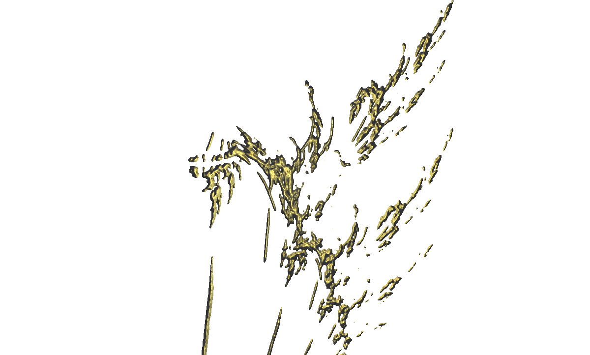 Golden Fractal.png