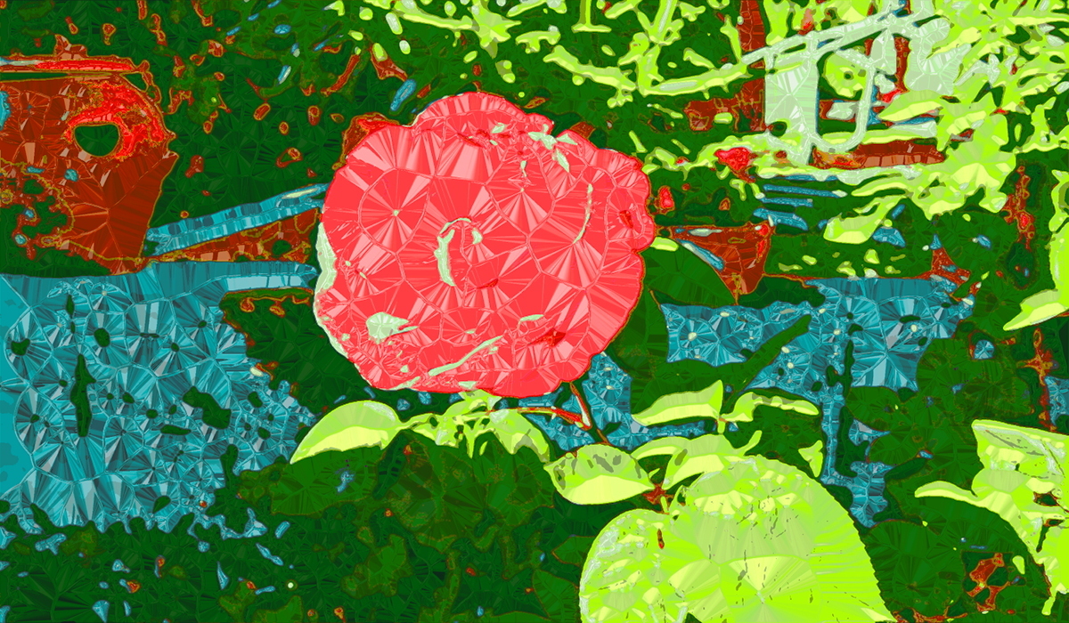DSCF0731-cristals.JPG