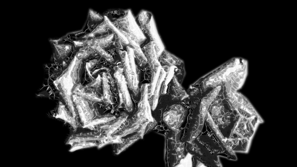 roses-B&W-crystallize.jpg