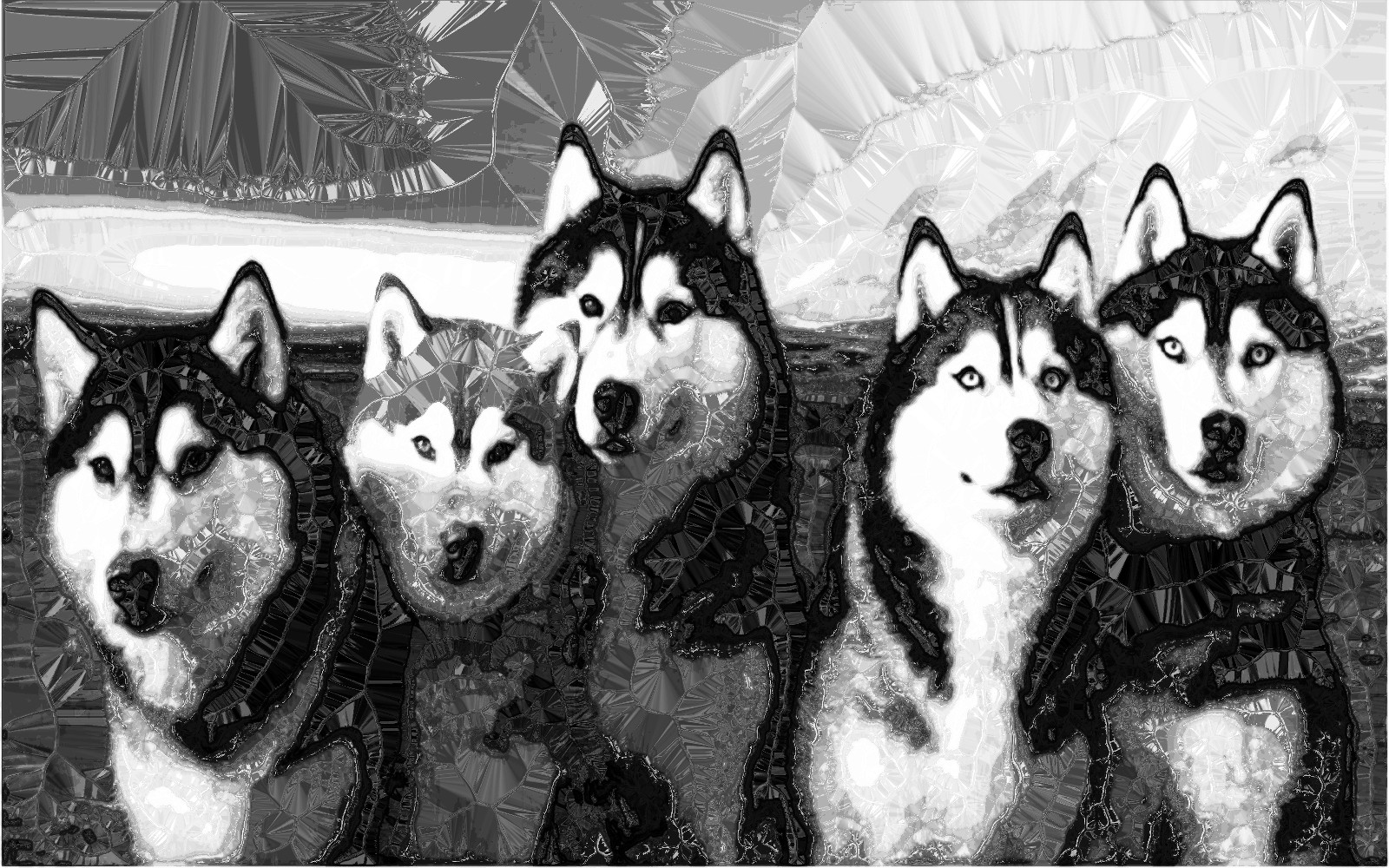 Husky Dogs-12c-crystallize-B&W.JPG