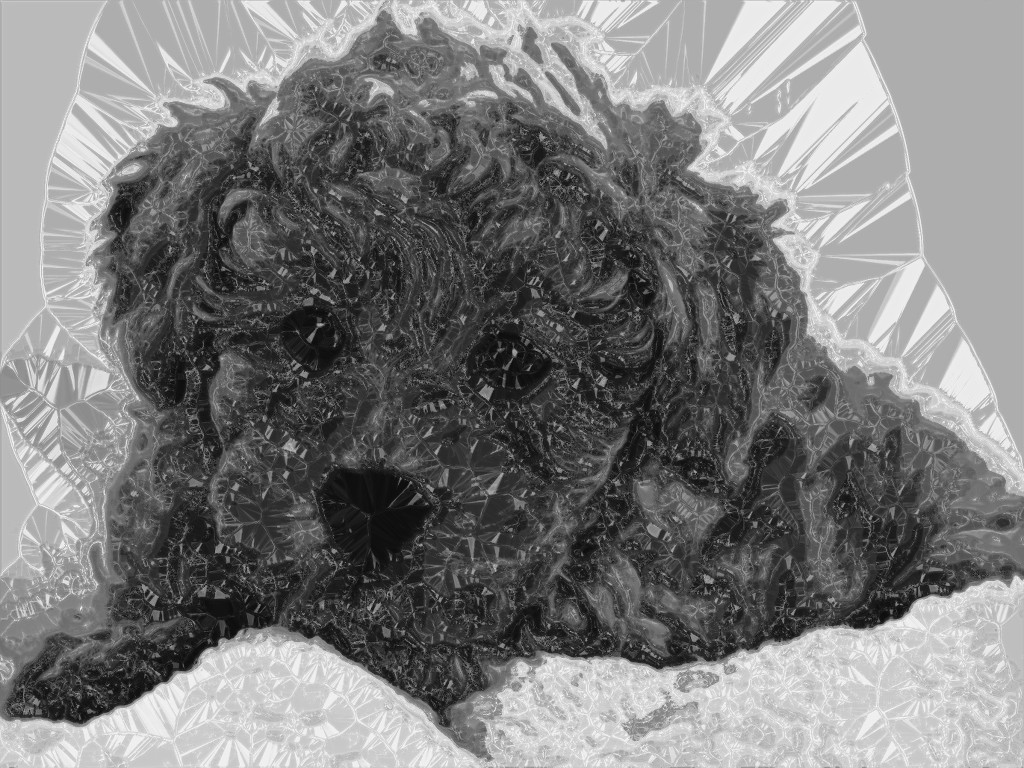 little dog-8c-B&W.jpg