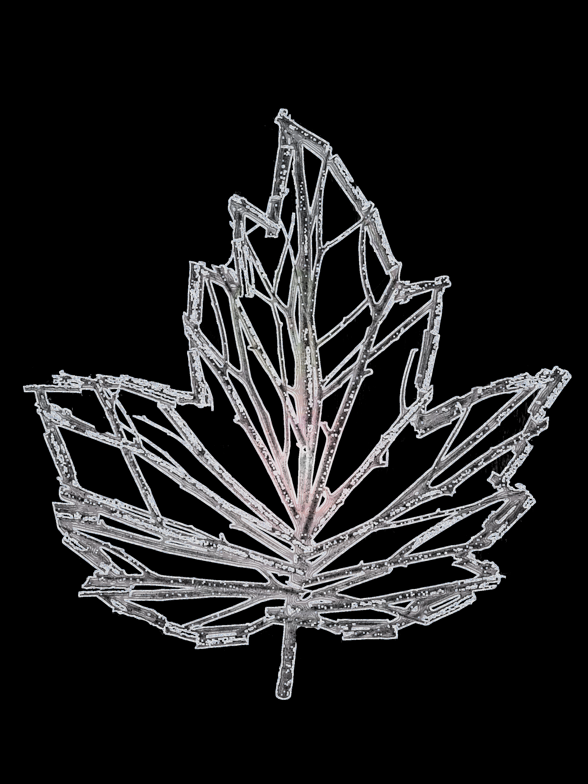 Crystallized stick leaf.png
