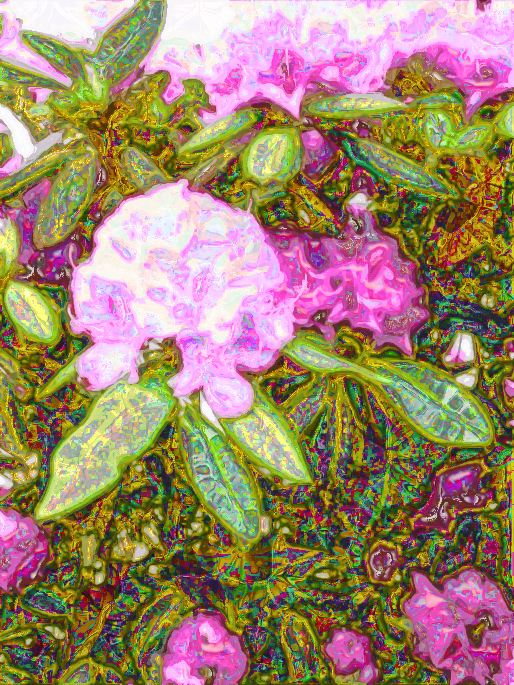 Crystallized Rhododendron.jpg