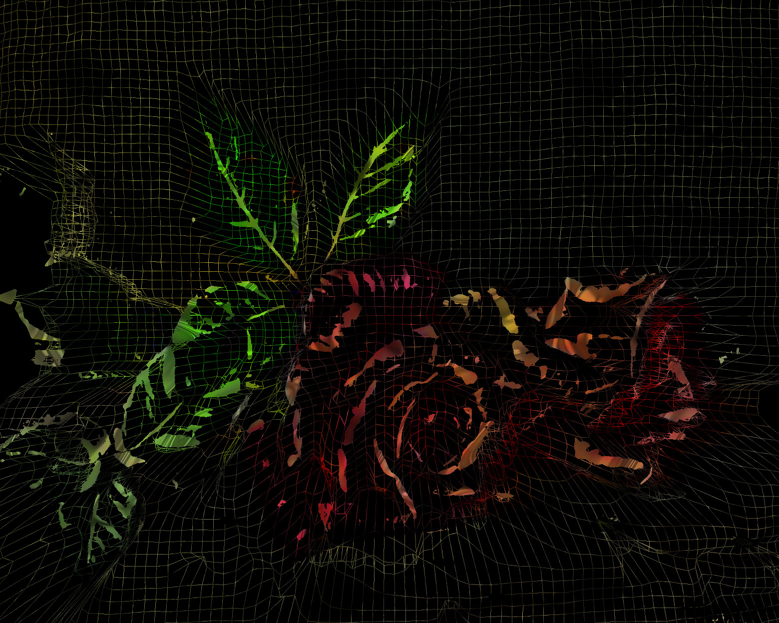 flores-rosas-wireframemap-v2-90,1,1,0.jpg