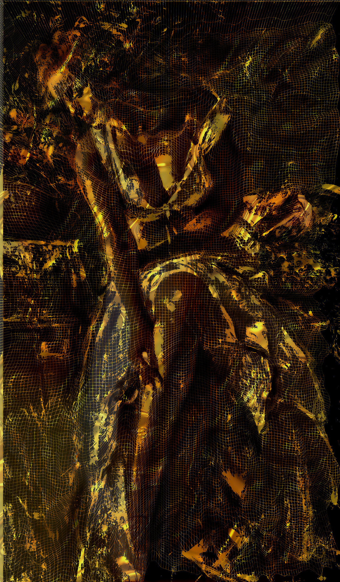 angelica-wireframemap-130,1,1,0.-grainmerge.jpg