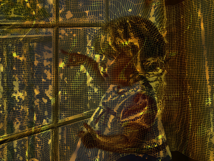 Child-10-wireframemap-120,1,1,0.JPG