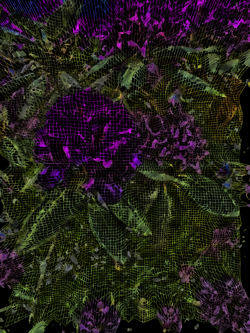Wireframe 2Rhodadendron.jpg